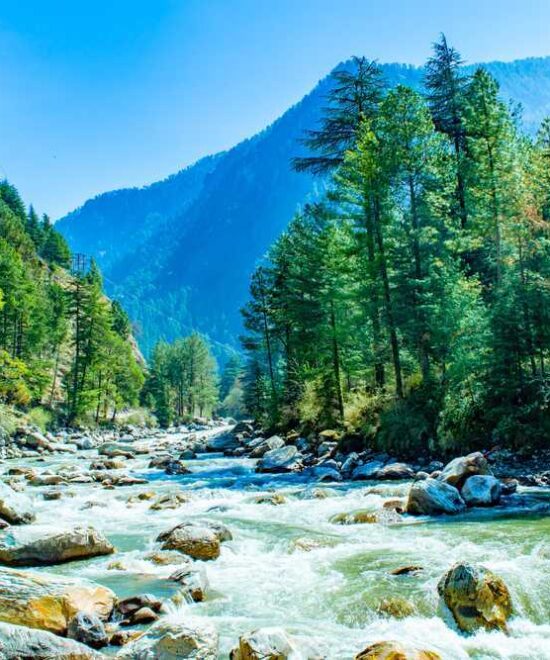 EXOTIC MANALI WITH CAB 3 Nights/4 Days